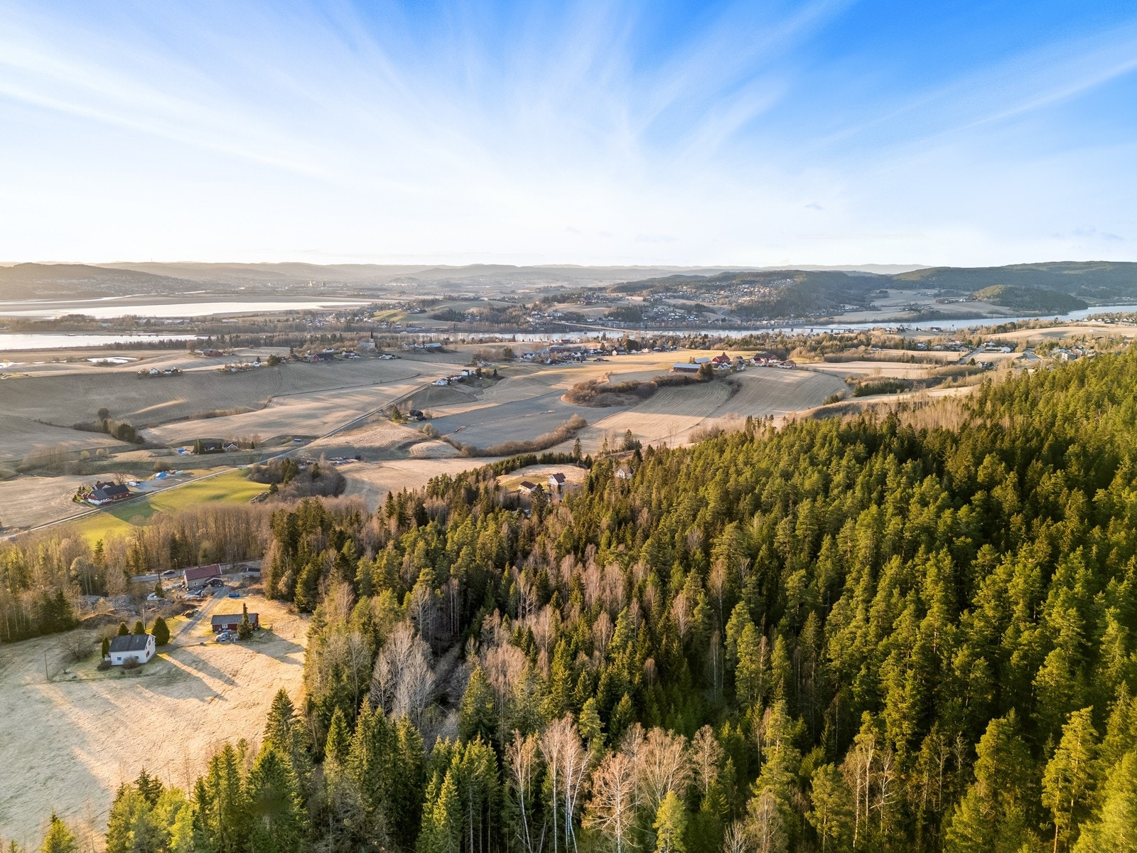 Naturlig skogsområde bestående for det meste av barskog. Galleribilde