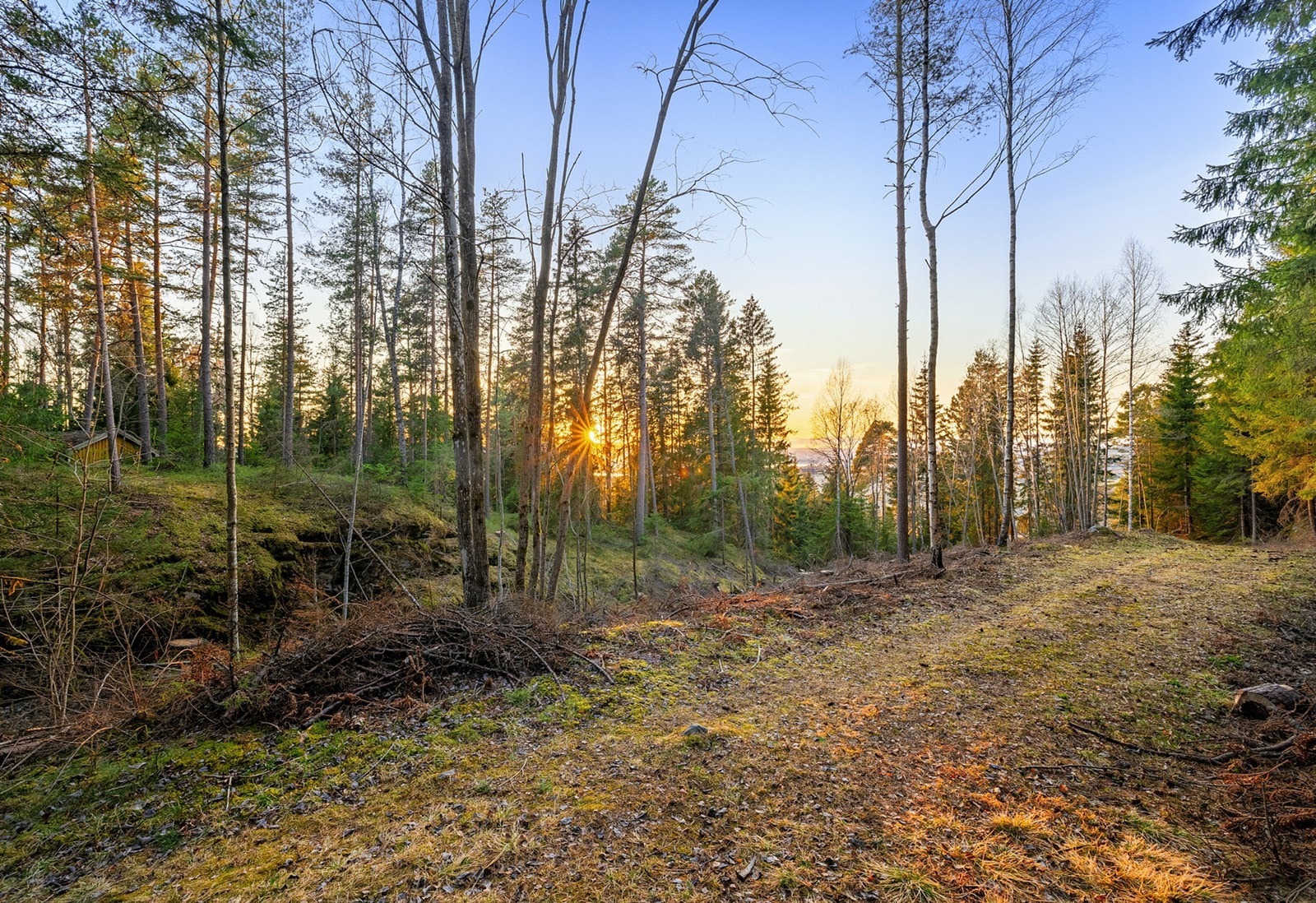 Tomten er beliggende nær Glomma og Øyeren naturreservat, og det er ca. 30 min fra Oslo. Galleribilde