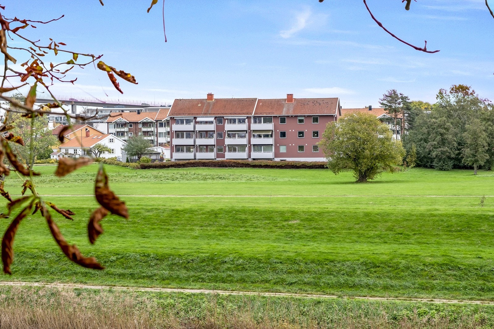 Fine turområder finnes like utenfor døren. Galleribilde