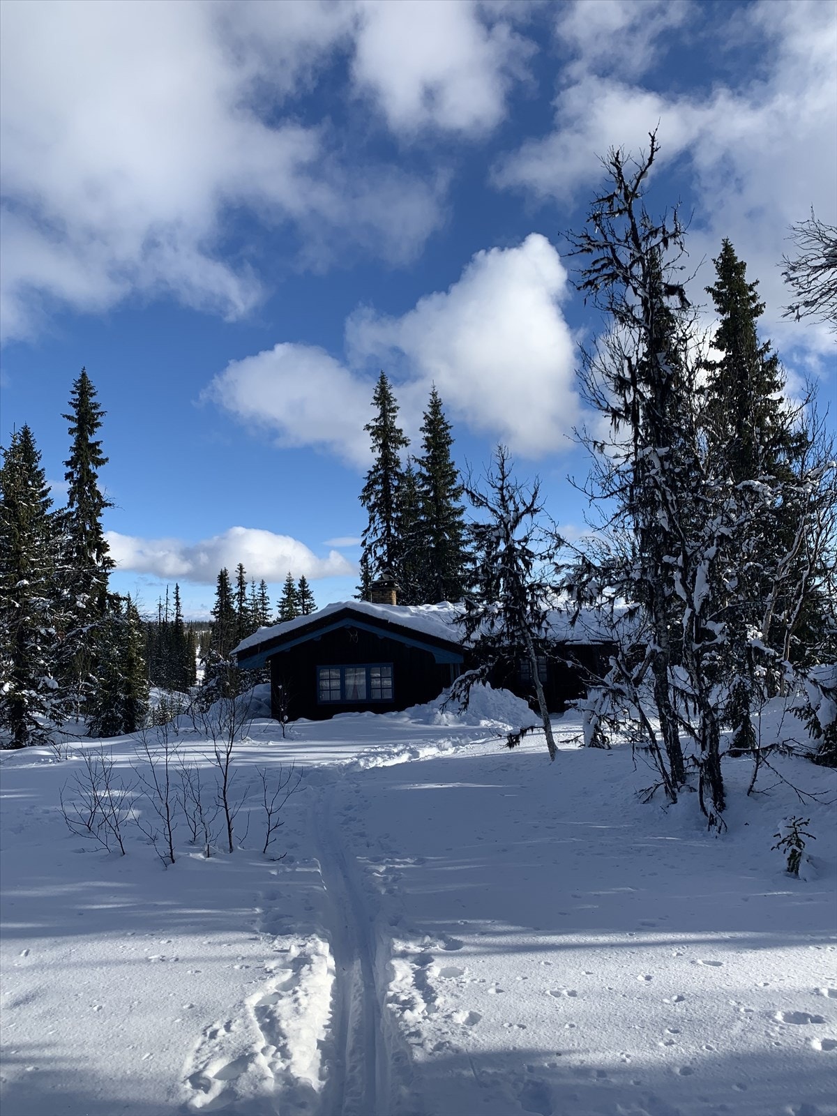 Vinterbilde fra Harebo Galleribilde