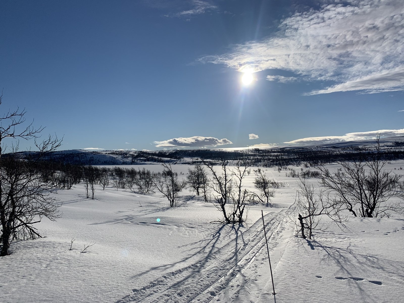 Gråsjøen Galleribilde