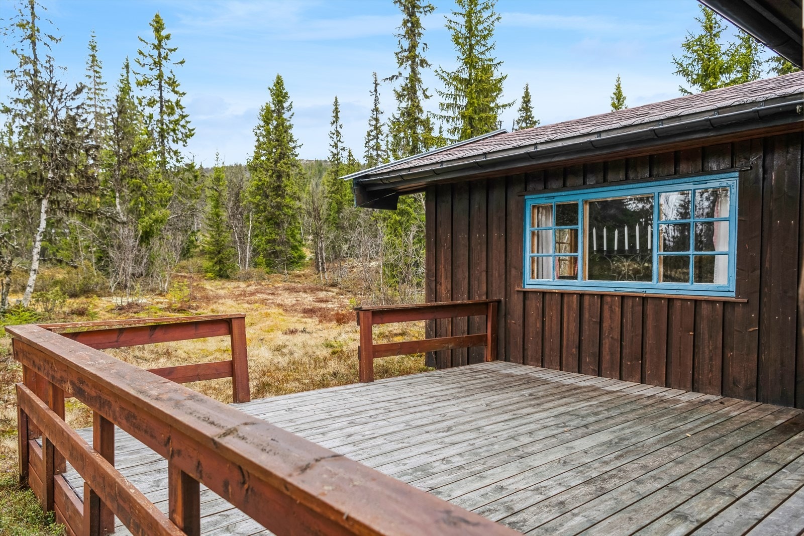 Terrasse. Galleribilde
