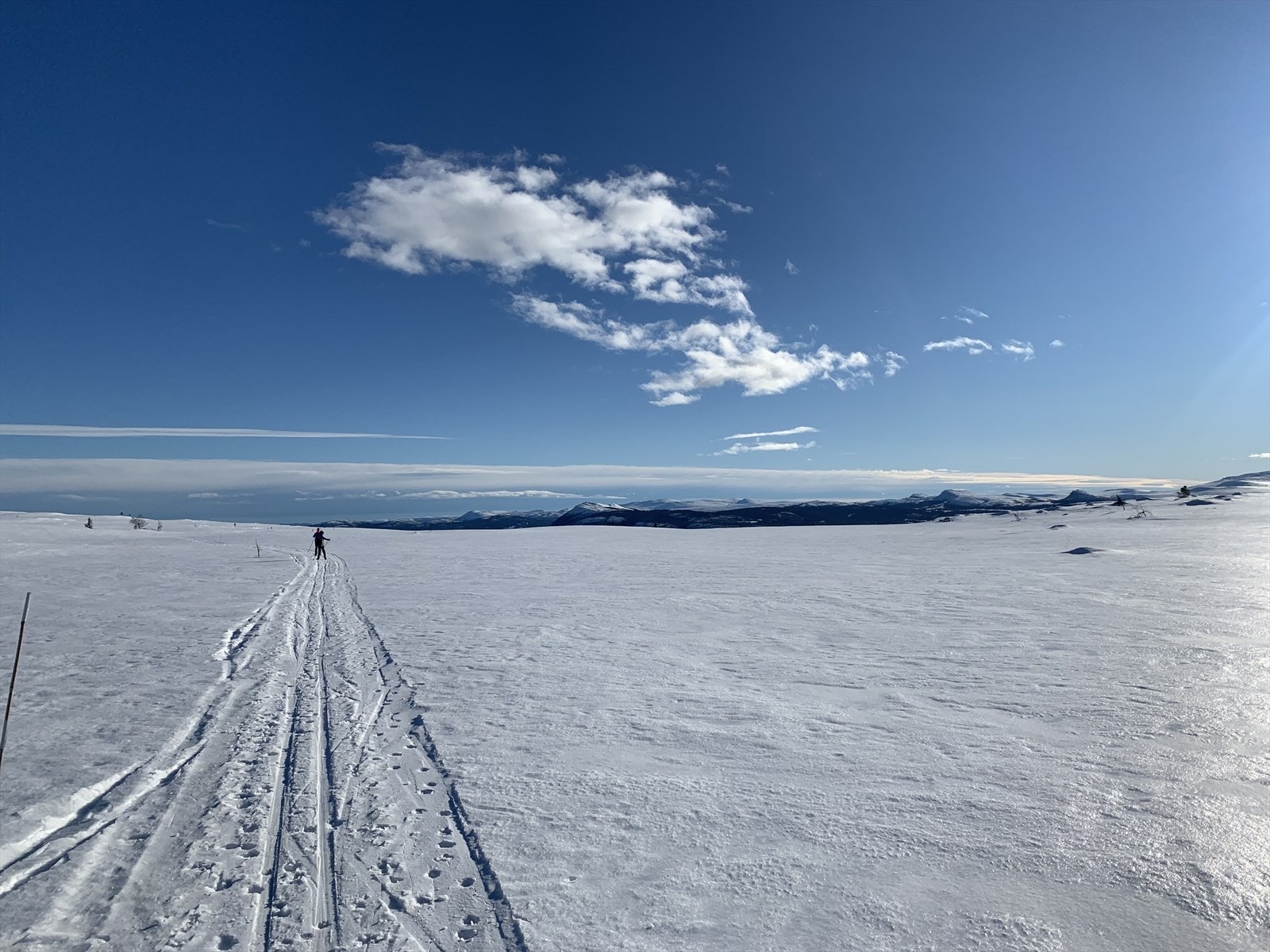 Over fjellet Galleribilde