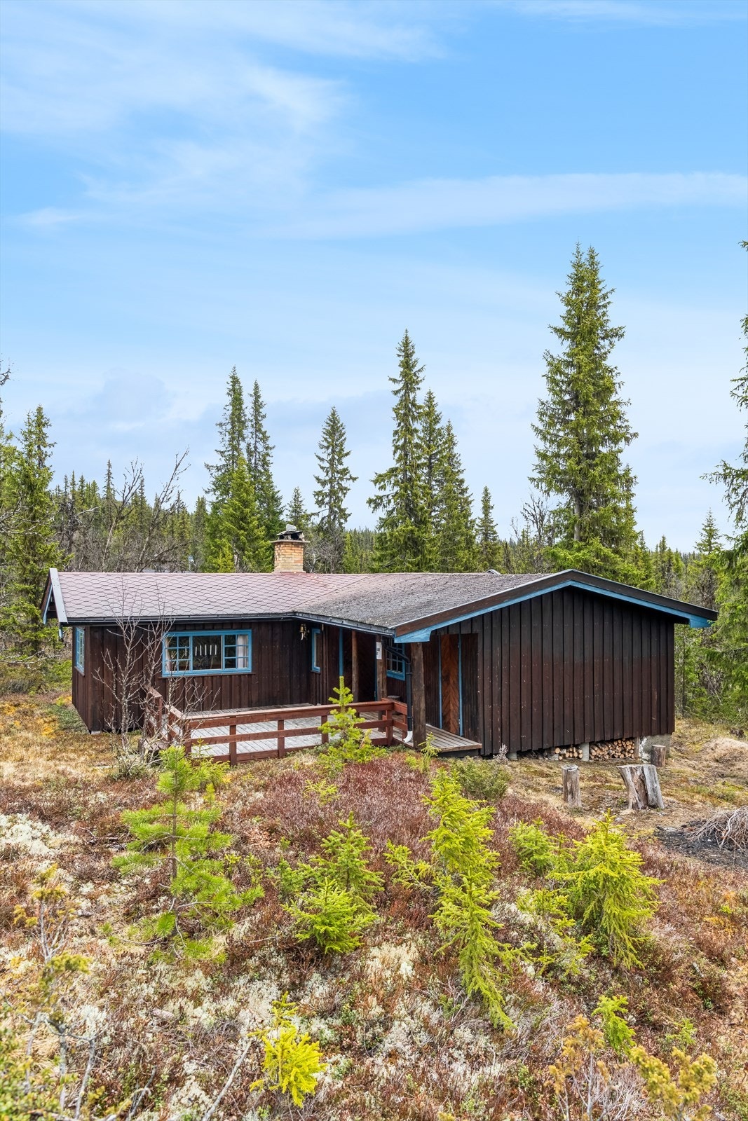 Velkommen til Gråsjøveien 813! Galleribilde