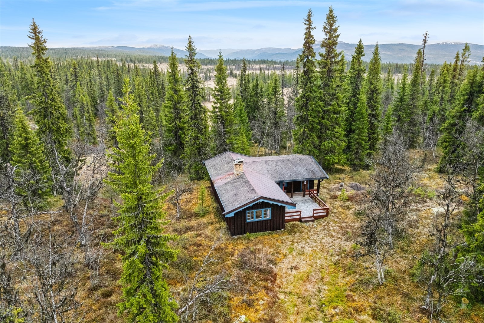 Oversiktsbilde. Galleribilde