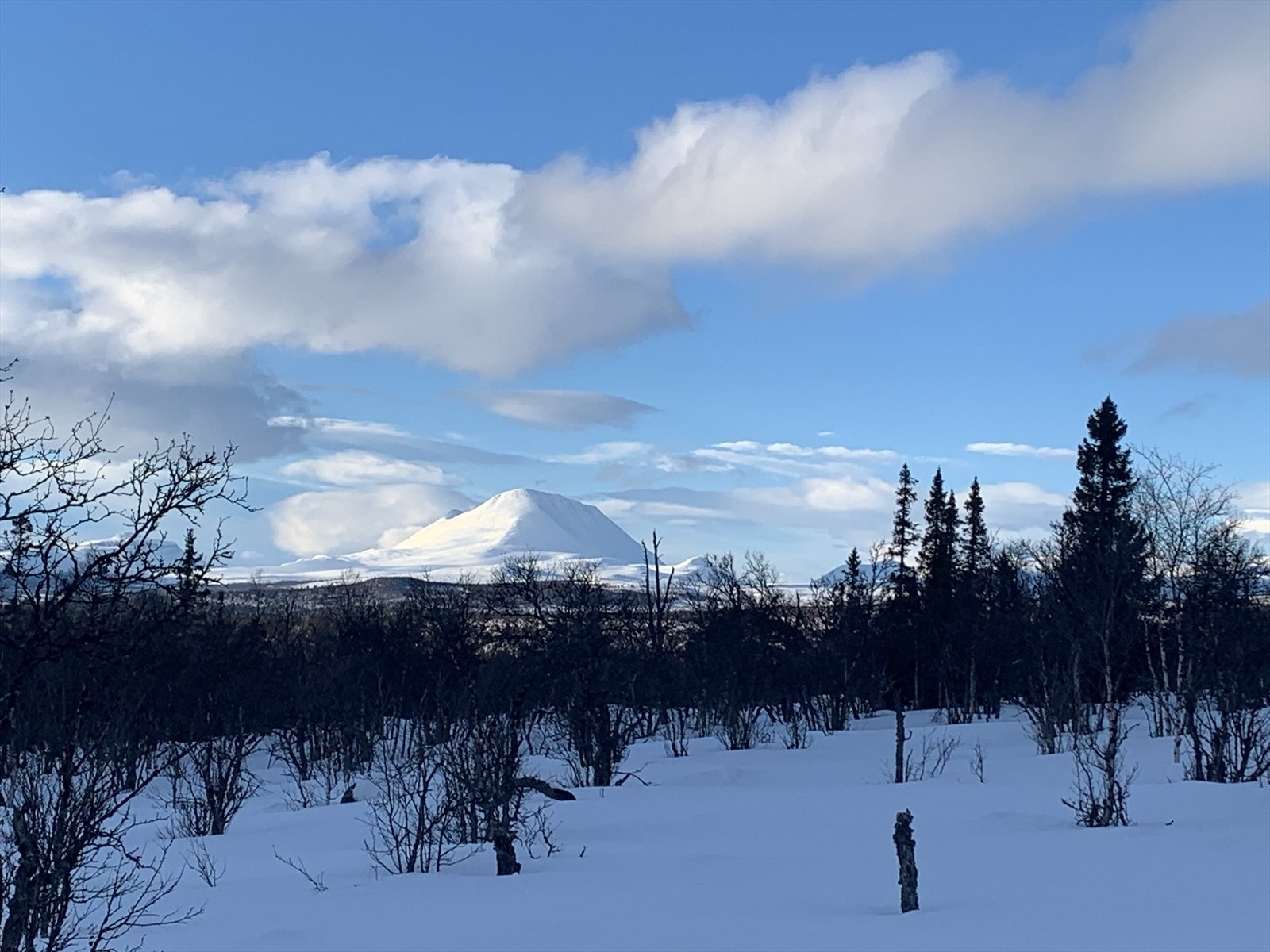 Sølnkletten Galleribilde