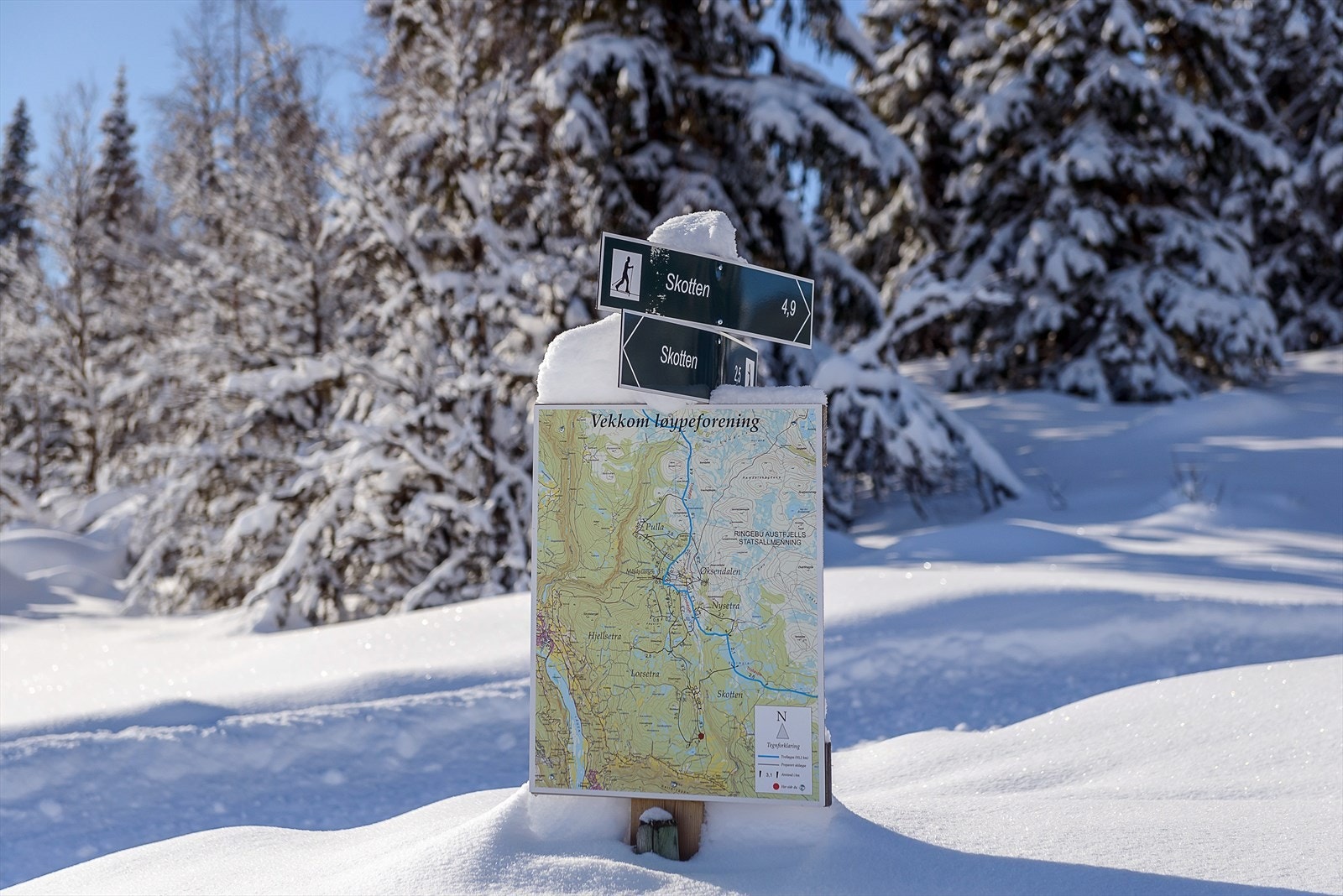 Skiløyper finner en ca. 200 meter fra hytten Galleribilde