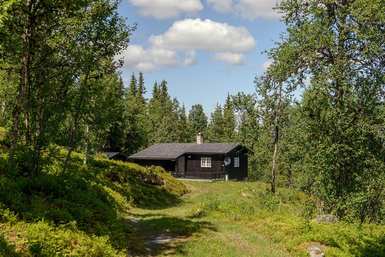 Velkommen til Morketjønnsvegen 105! Galleribilde