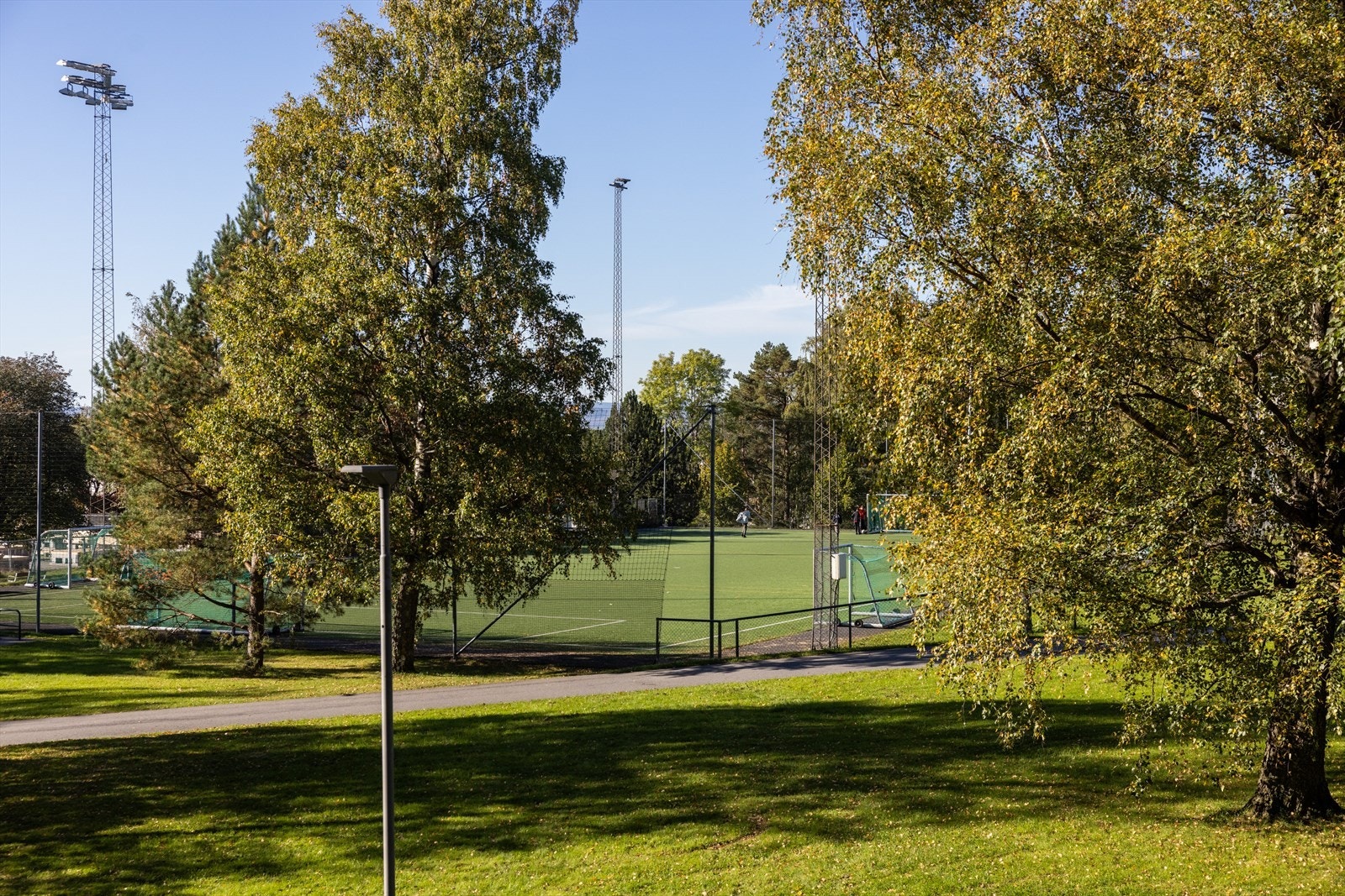 Nærområdet. Galleribilde