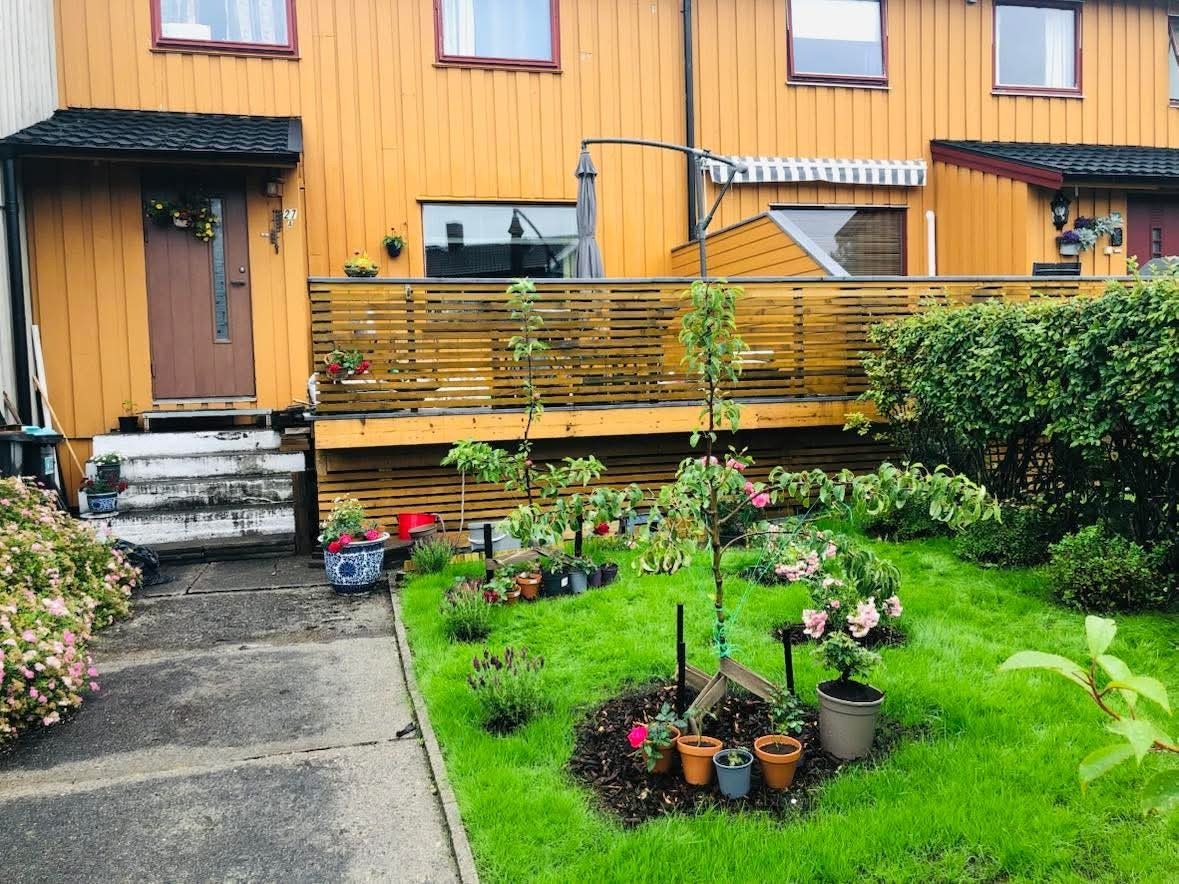 Sommer bilde tatt av selger Galleribilde