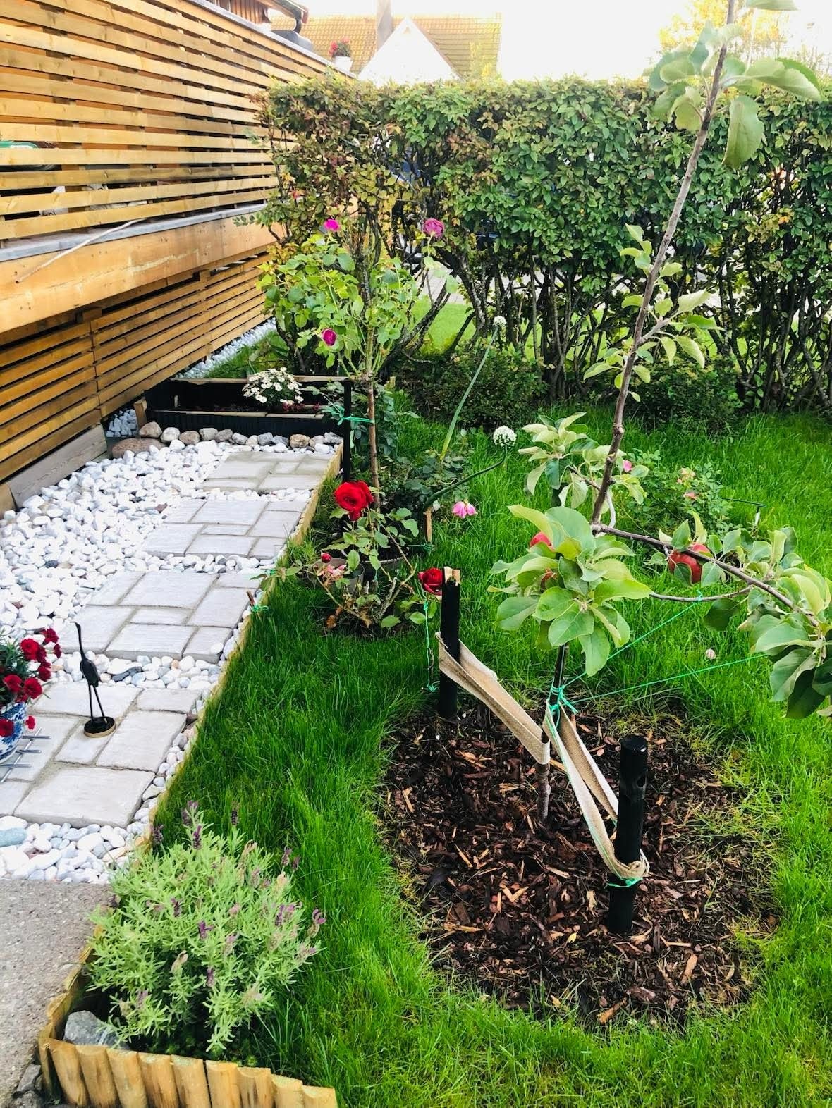 Sommer bilde tatt av selger Galleribilde