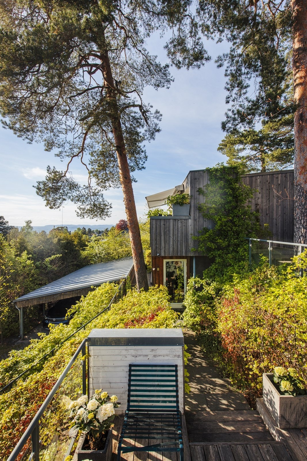 Grønt og frodig. Galleribilde