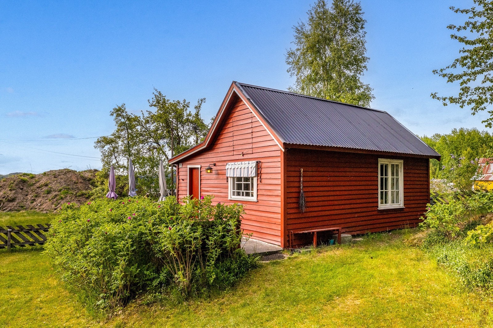 Terrassen skjermes av rosehekken. Galleribilde