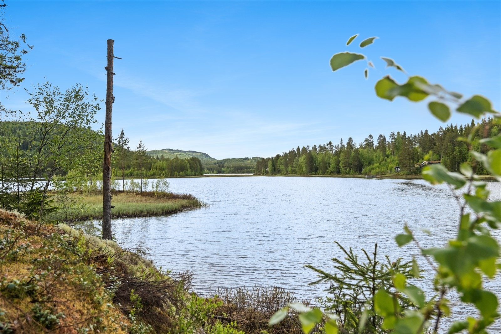 Sætersjøen er nydelig til både padling og bading. Galleribilde