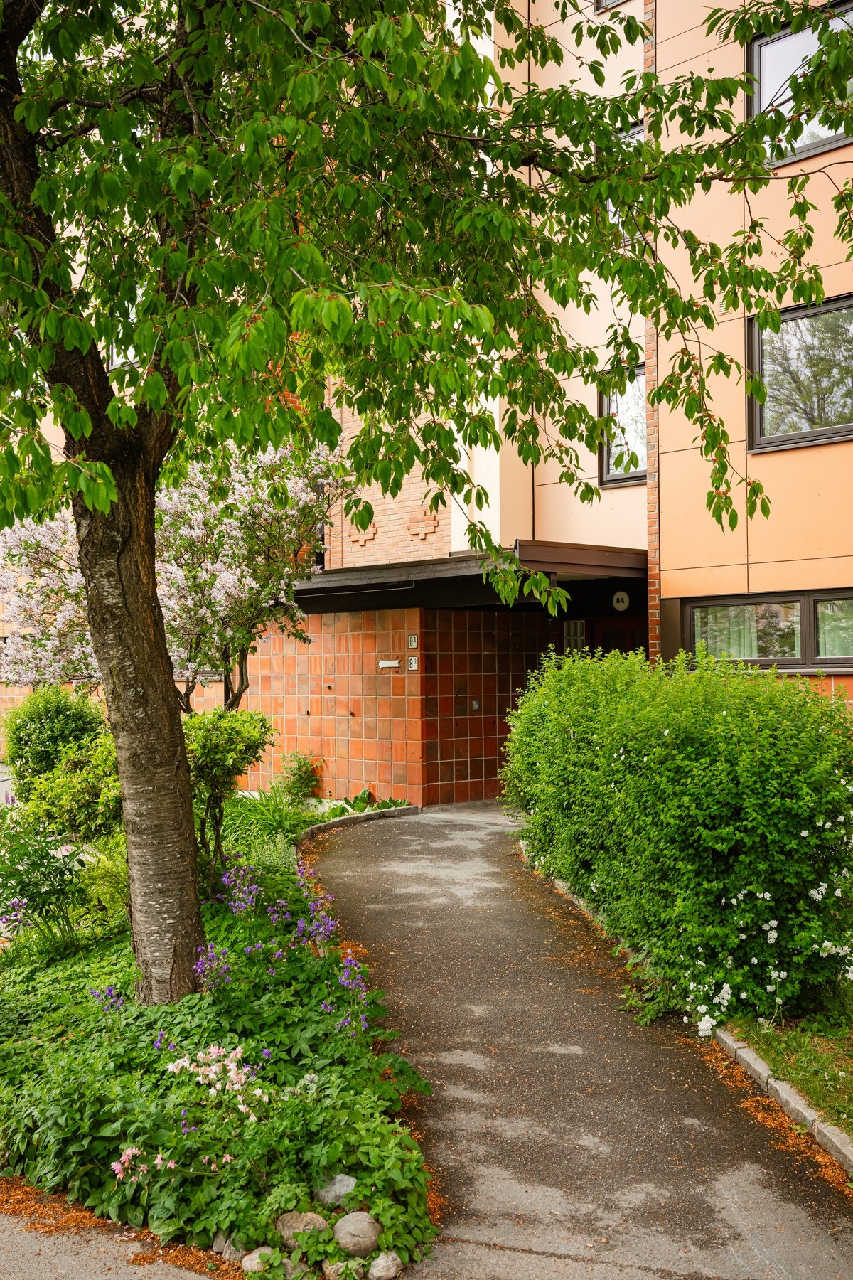 Velkommen til en hyggelig visning! Galleribilde