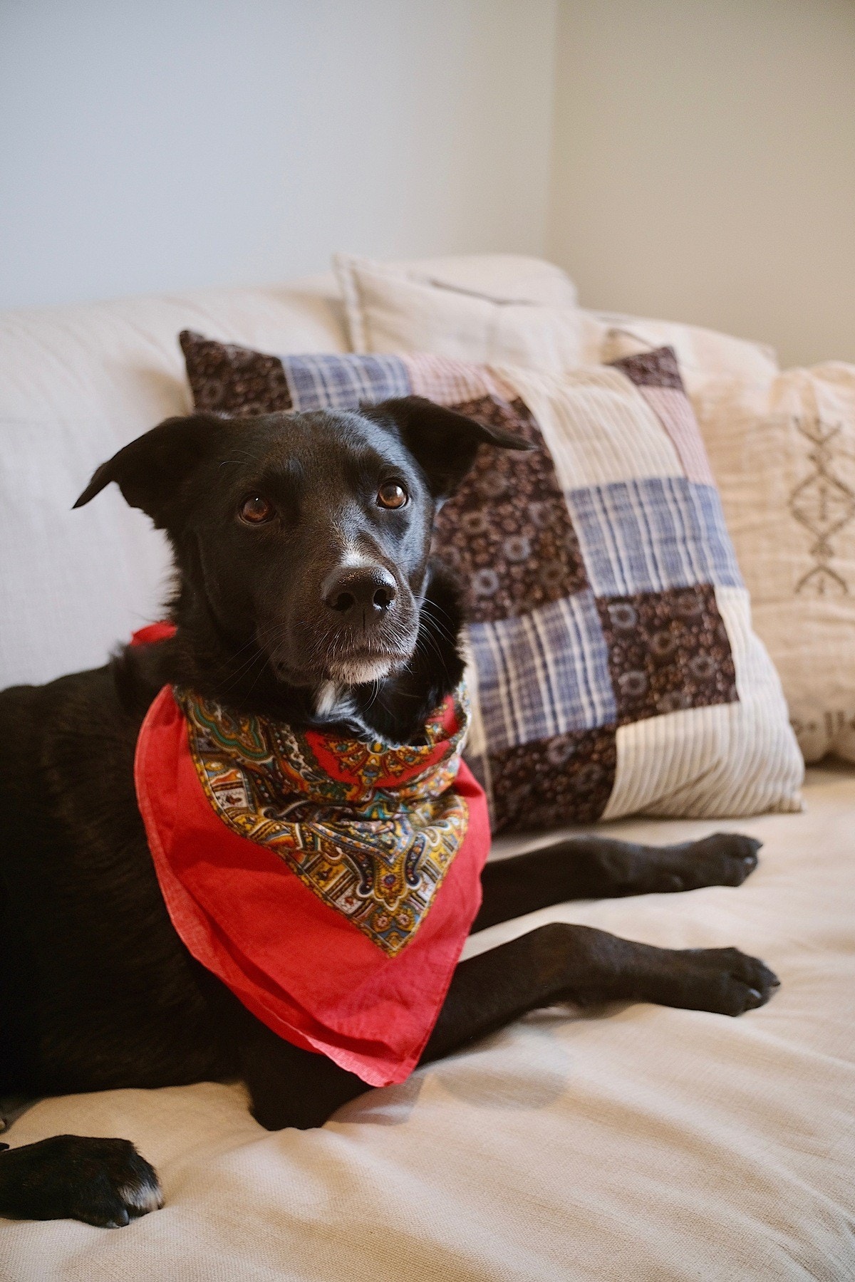 firbeinte er velkomne! Galleribilde