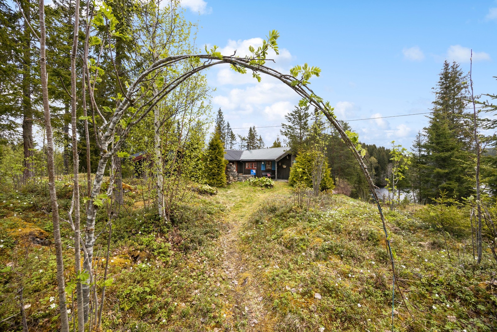 Enkel adkomst via sti fra parkeringen. Galleribilde