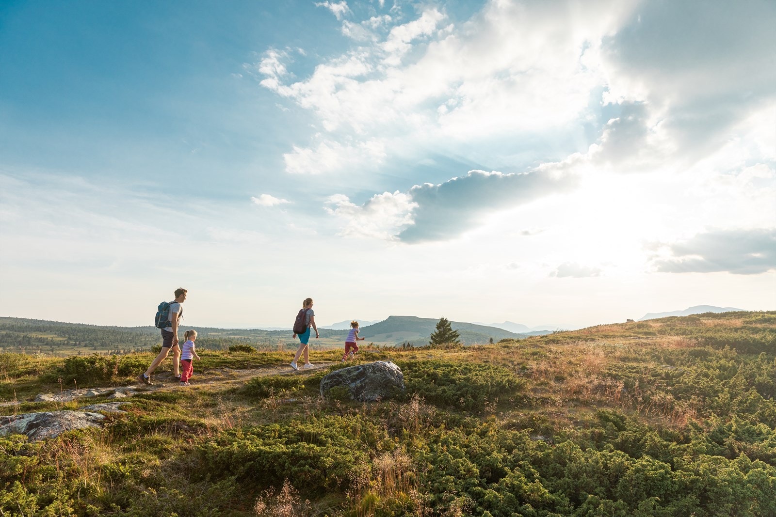 Det er et stort utvalg av fotturer på Golsfjellet tilpasset både store og små. Galleribilde