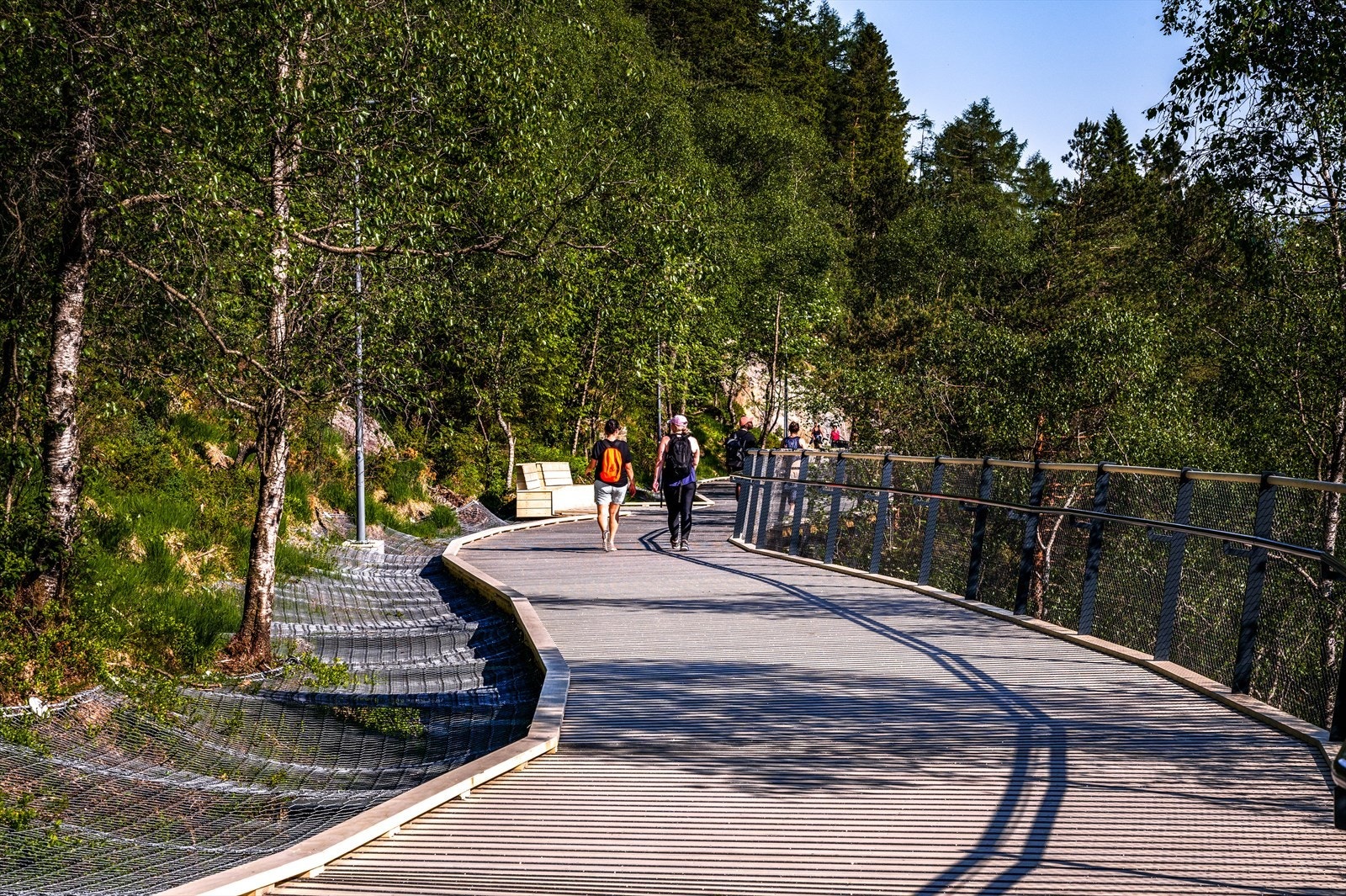 Det er flere turmuligheter i nærområdet, som for eksempel Løvstien. Galleribilde