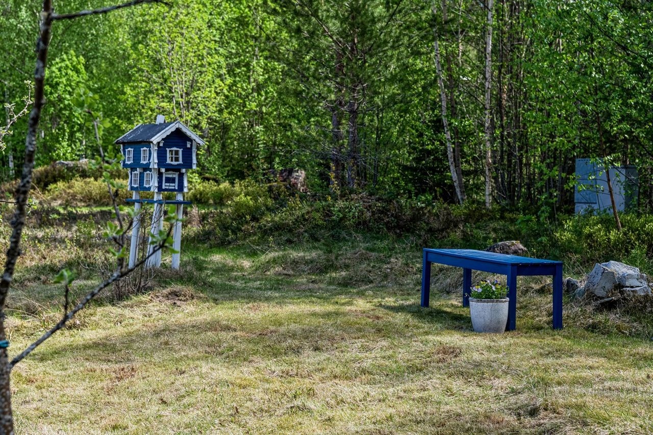 Nærhet til naturen Galleribilde