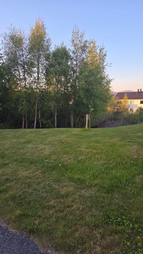 Sett fra nabotomt Galleribilde