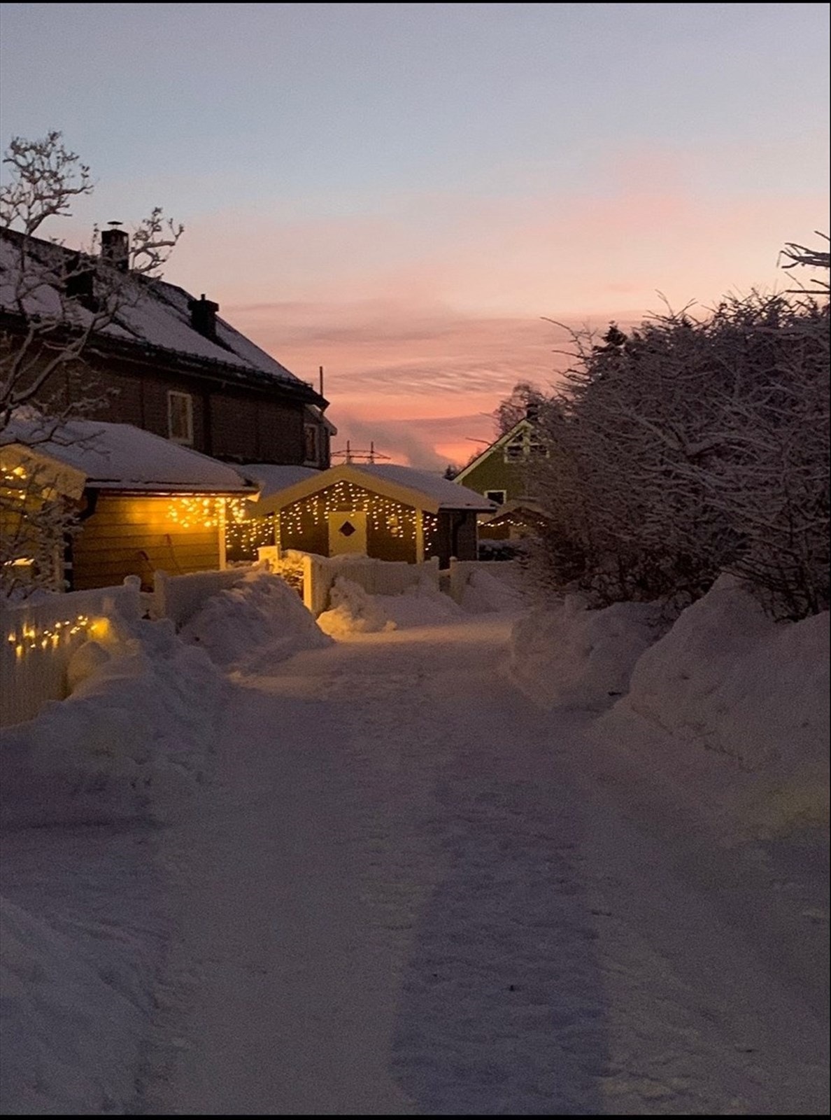 Selgers eget bilde fra vinterstid. Galleribilde