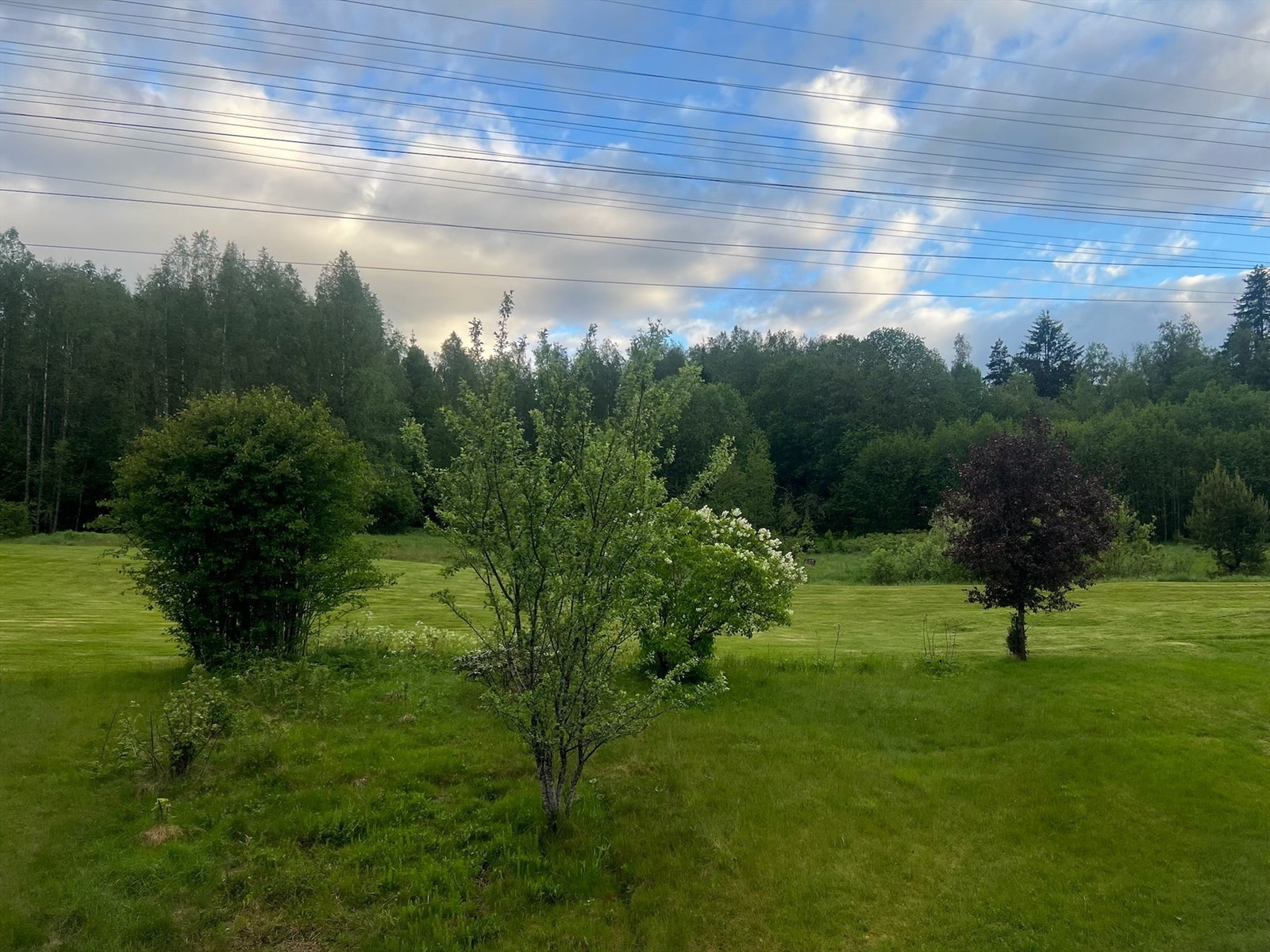 Selgers eget bilde av utsikten mot marka fra balkongen i 2. etasje. Galleribilde