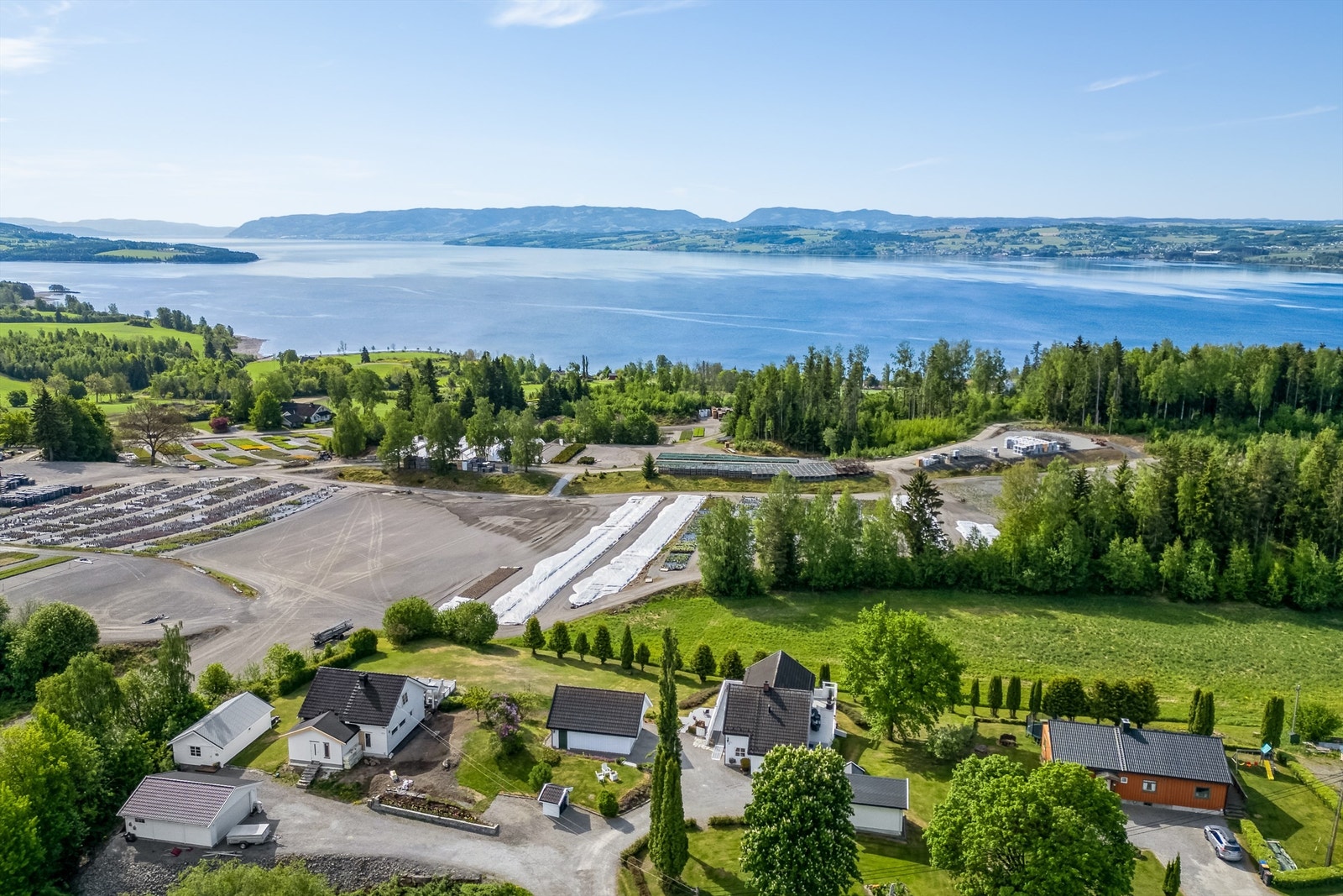 Trivelig på Nes! Galleribilde