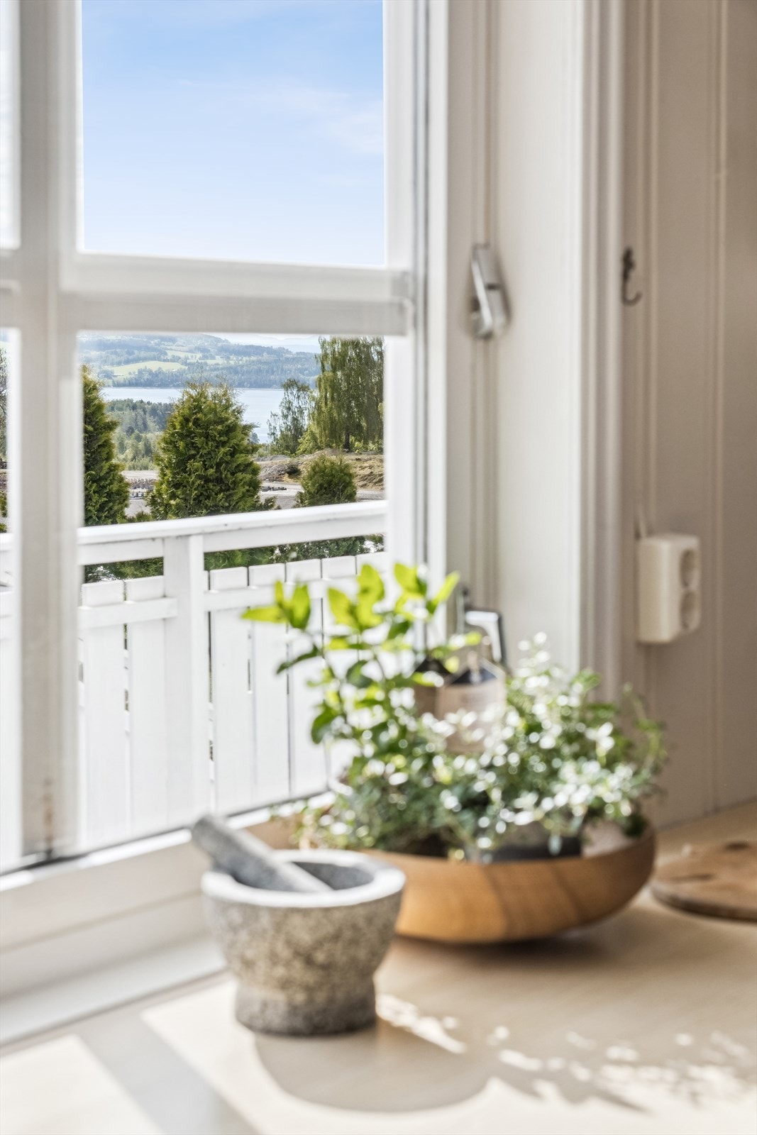 Mjøsutsikt til matlagingen. Galleribilde