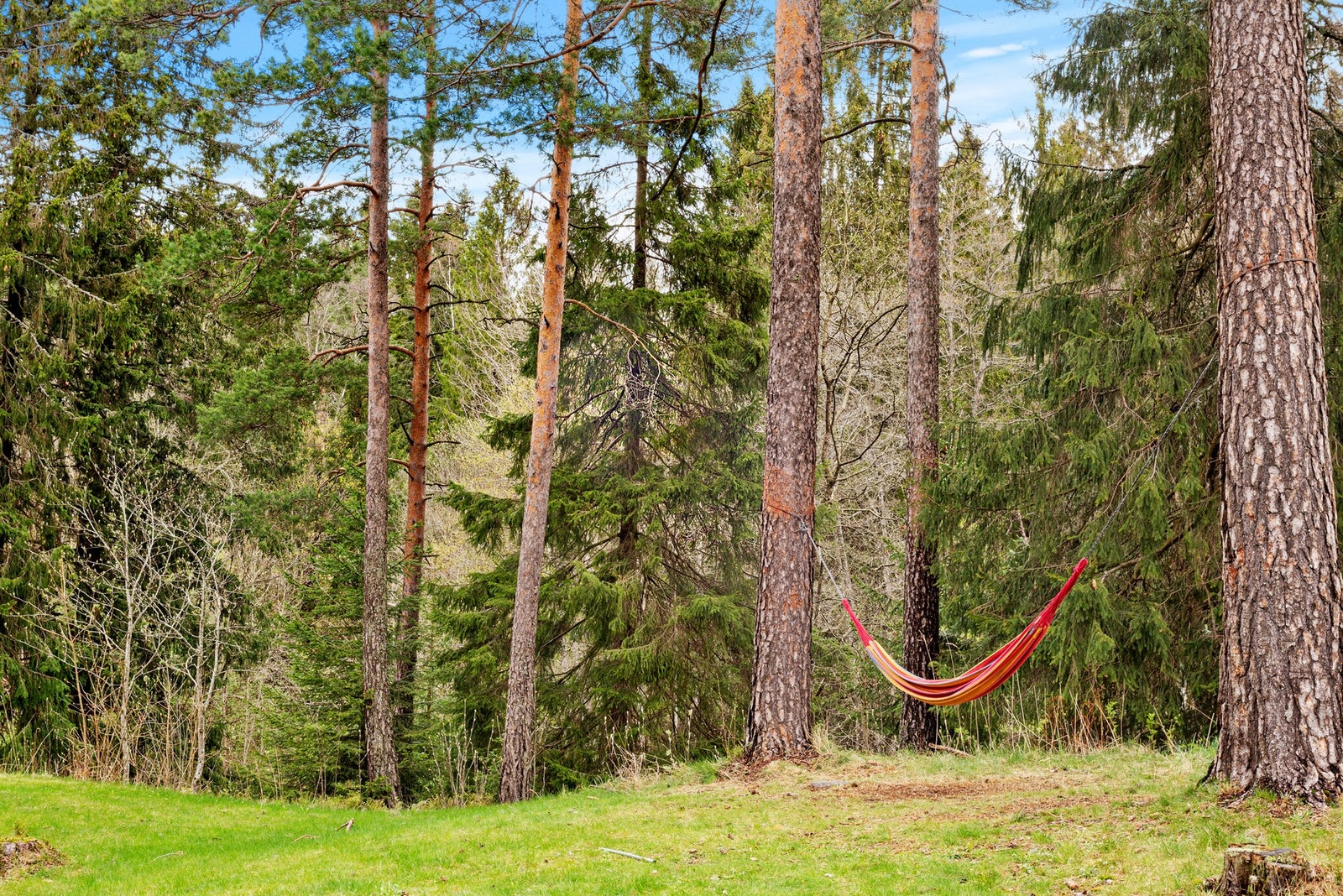 Glassberget på Årvollåsen er ideelt for hengekøyetur og rekreasjon. Galleribilde
