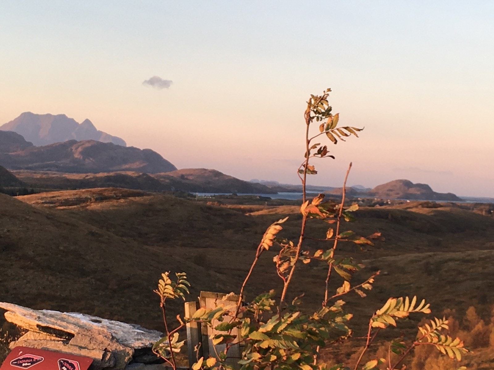 Selgers bilde: Dønnamannen i nydelige farger. Galleribilde