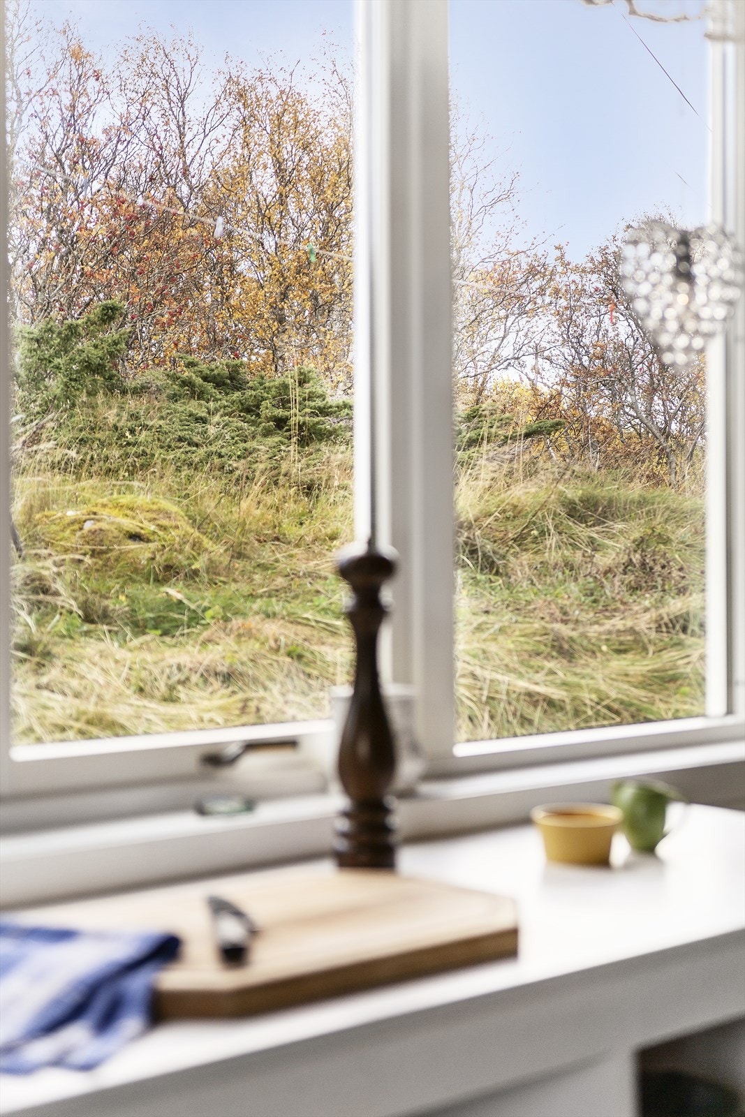 Detaljbilde fra kjøkken vinduet. Galleribilde