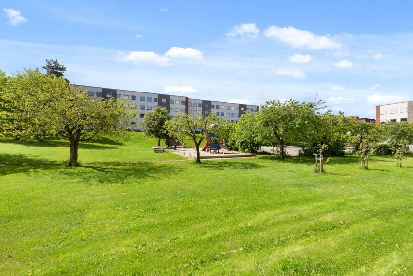 Det er kort vei til skoler i alle trinn, Voksen og Huseby barneskole, Hovseter ungdomsskole og Persbråten videregående skole. Galleribilde