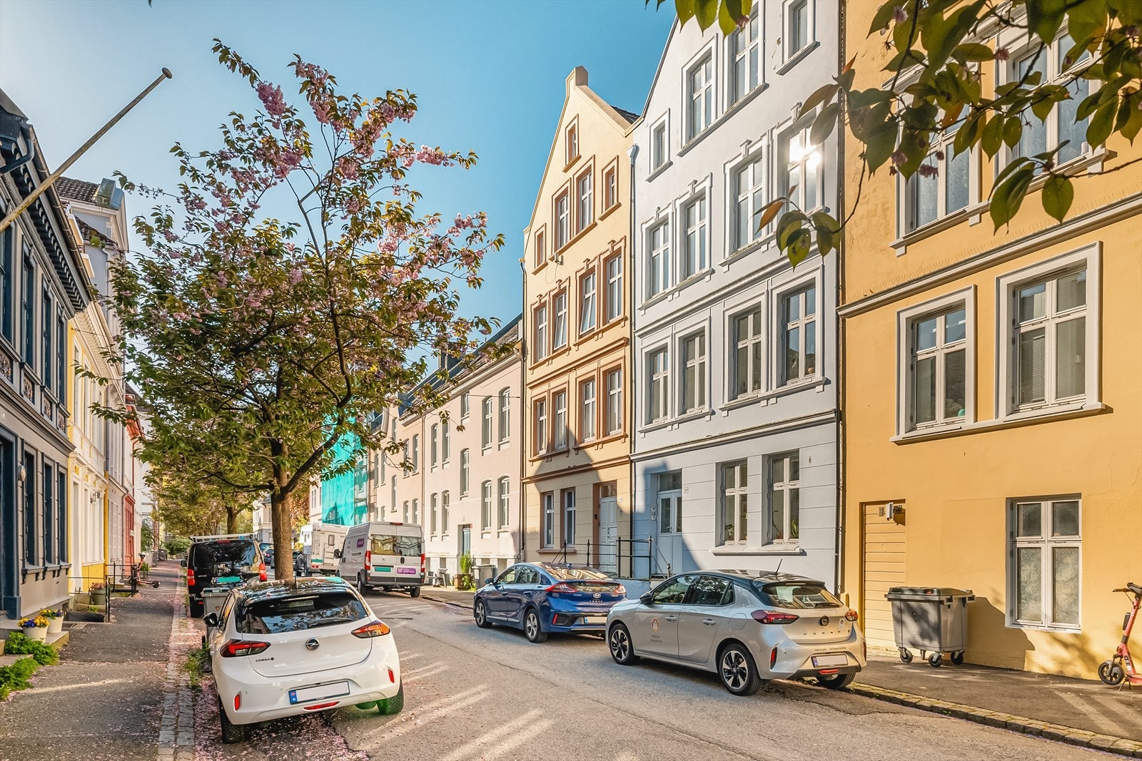 Gaten har velholdte, fargerike og klassiske bygårder og fine kirsebærtrær. Lite trafikkert gate. Galleribilde