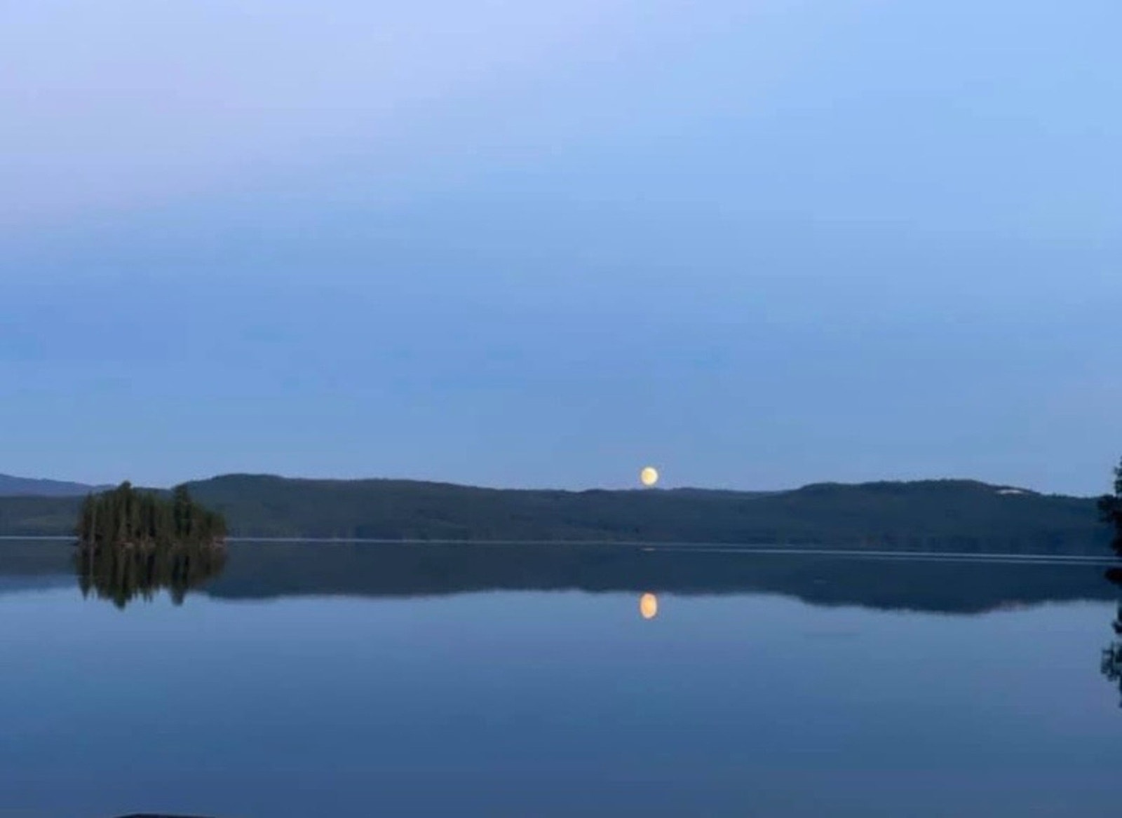 Selgers private bilde. Galleribilde