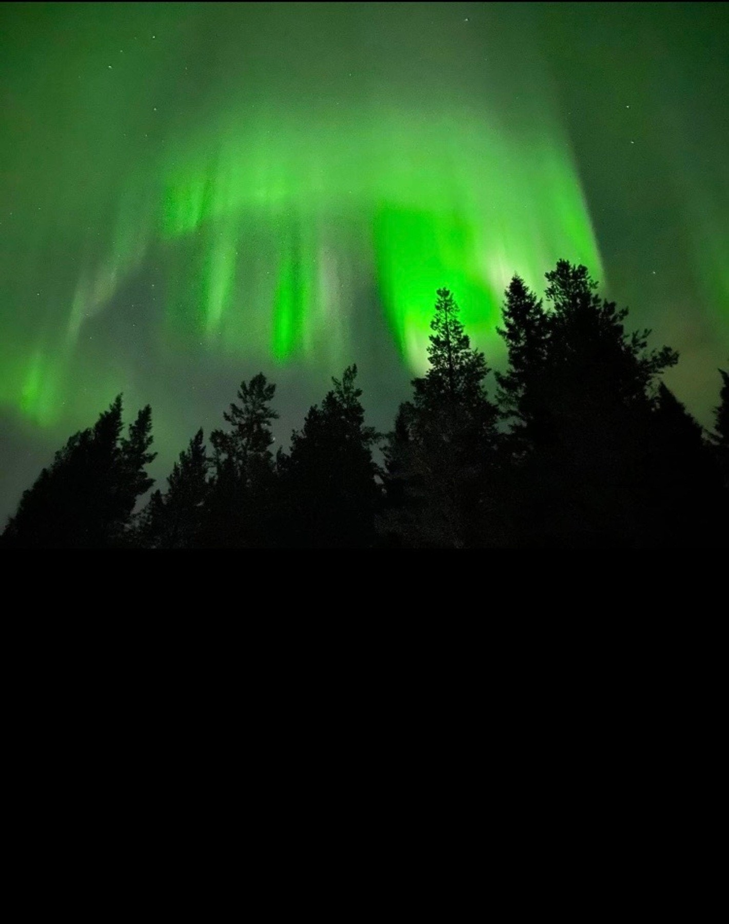 Selgers private bilde. Galleribilde