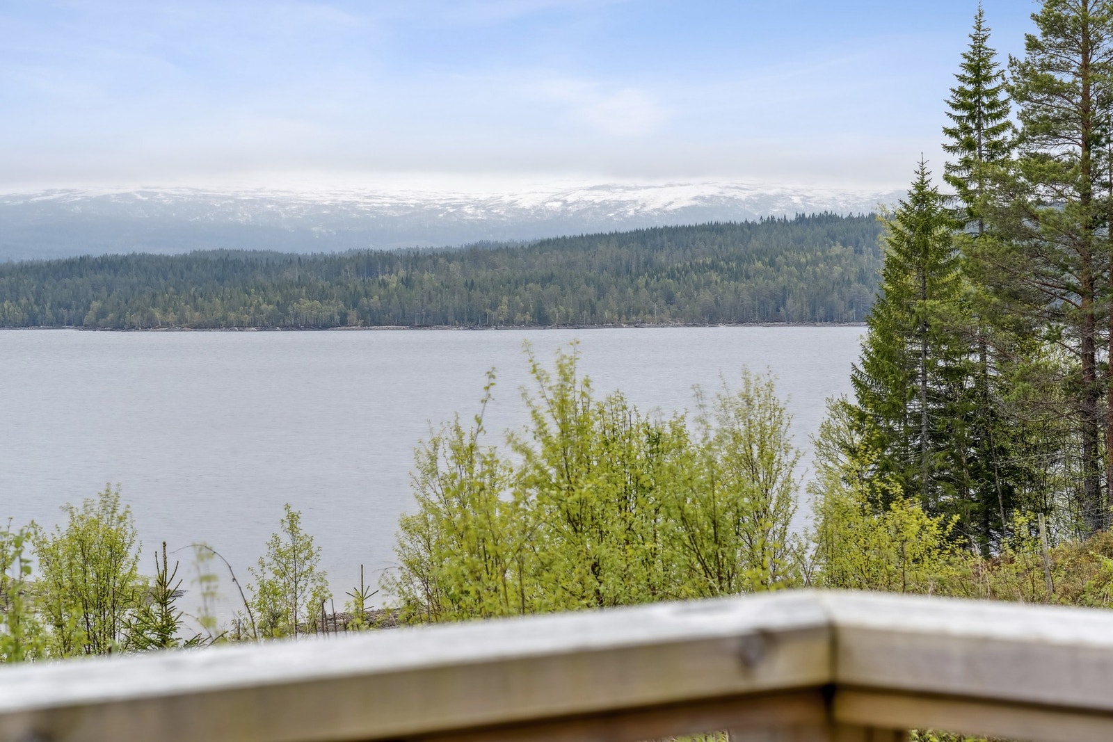 Velkommen til visning! Galleribilde