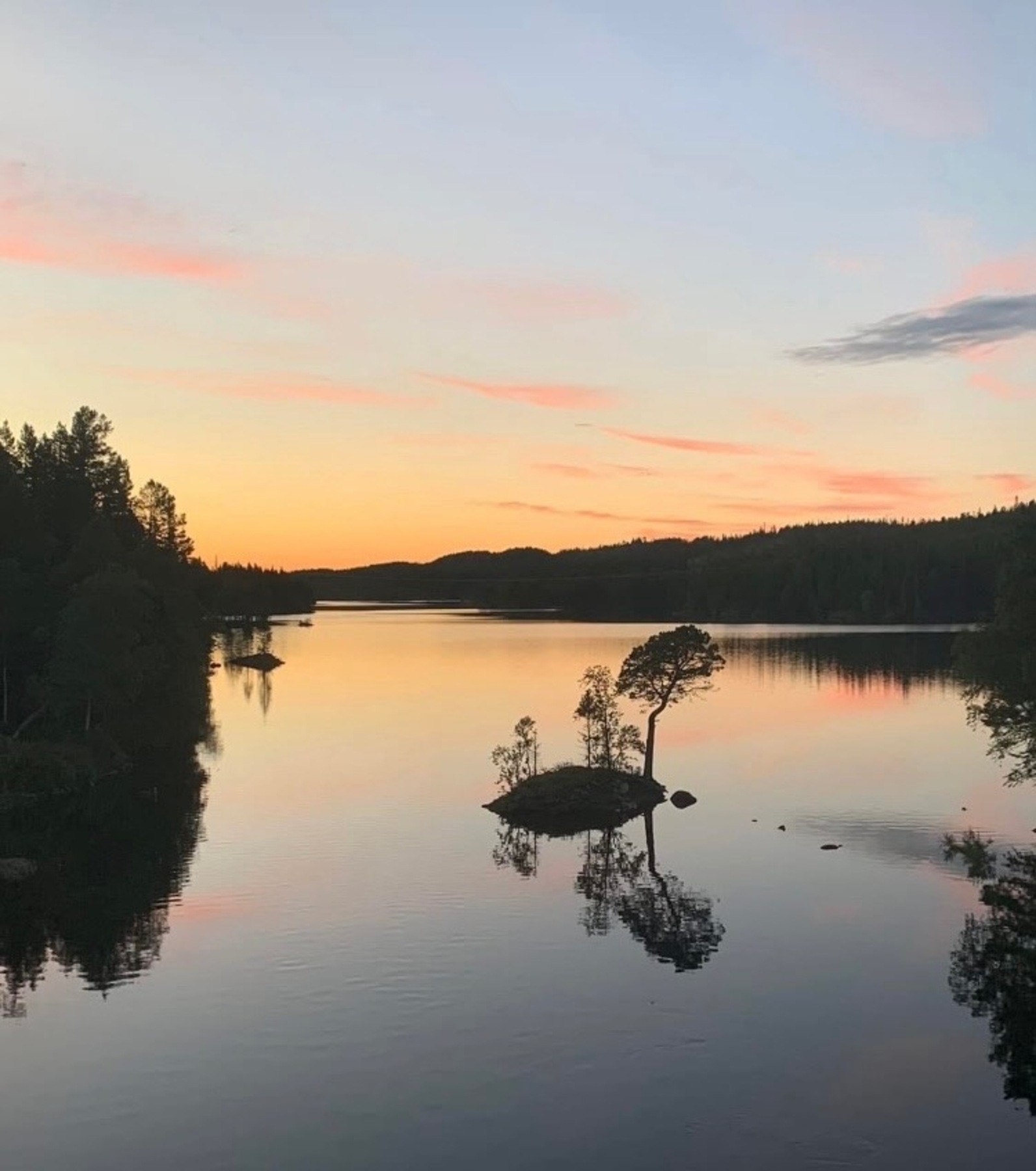 Selgers private bilde. Galleribilde