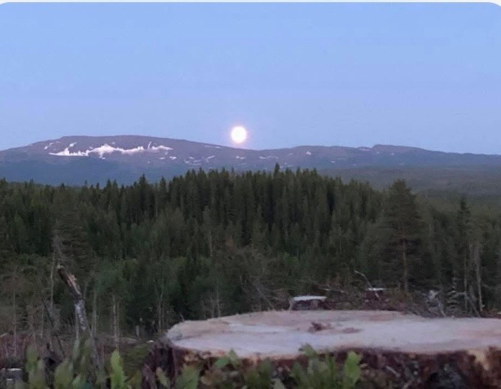 Selgers private bilde. Galleribilde