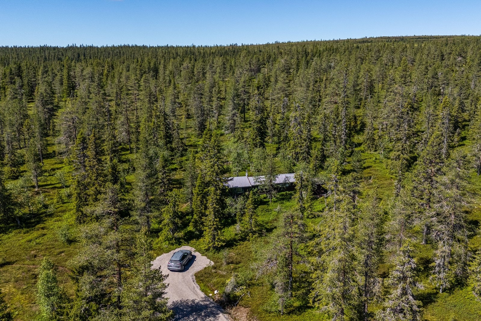 Fin beliggenhet høyt i området gir enkel tilgang til tur/skiterreng i fjell/viddeområder. Galleribilde