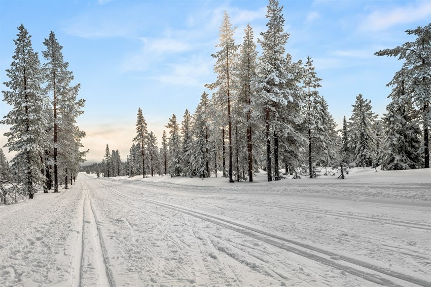 Fine skiløyper til Birkebeinerriket like ved hytta. Foto: privat Galleribilde