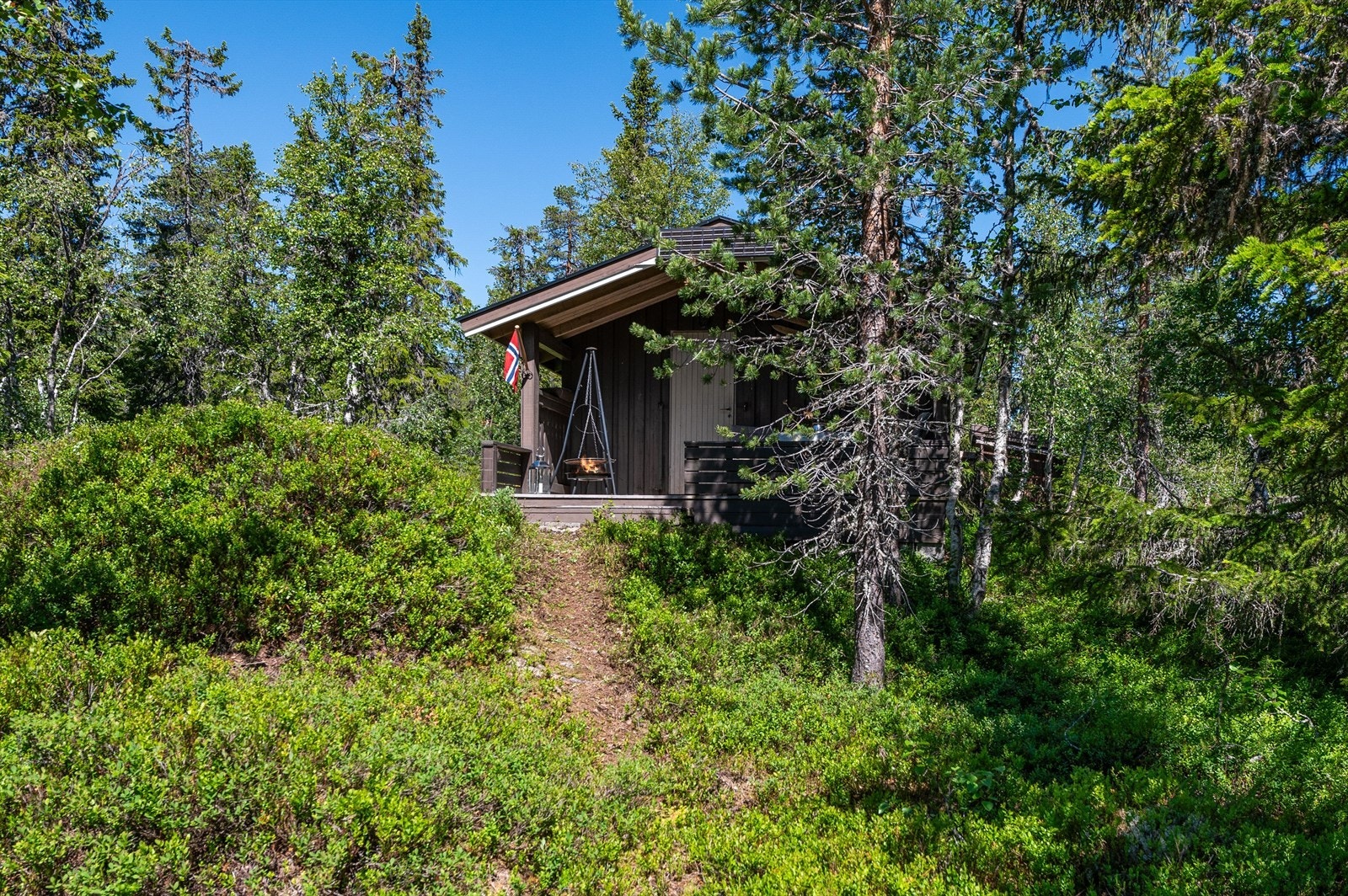 Tomten er svakt skrånet og oppleves å ha fine solforhold. Naturtomten gir mulighet for å sanke bær i lyngen rett utenfor. Galleribilde