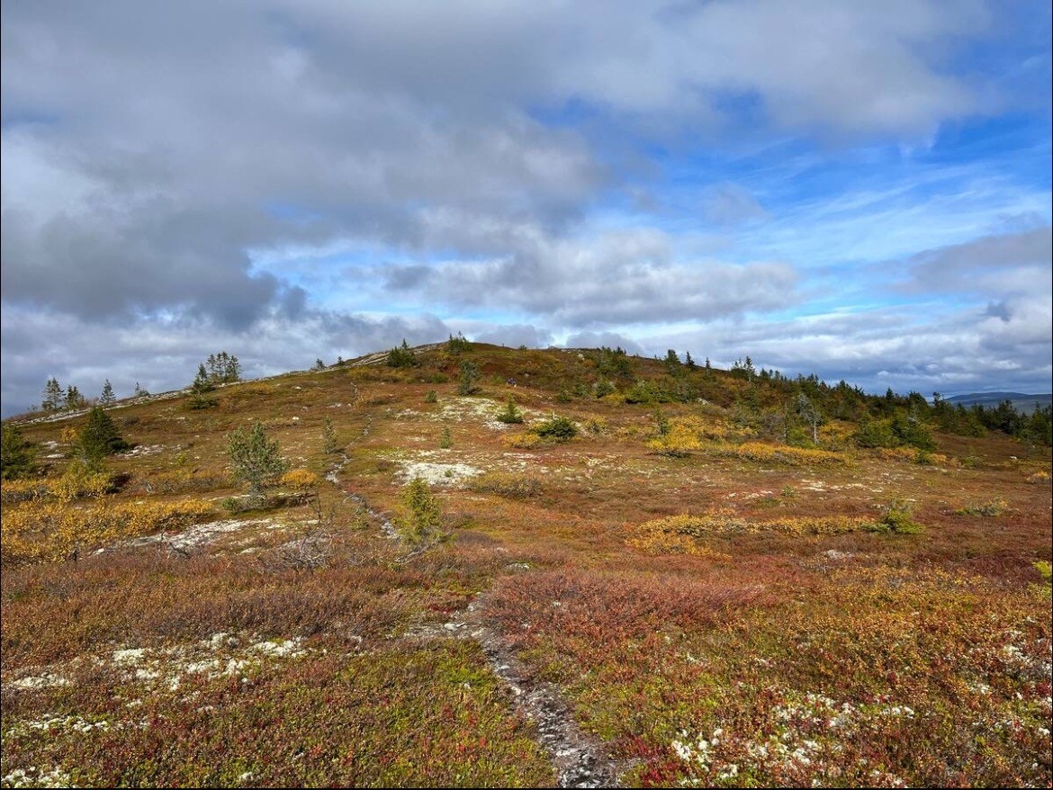 Fine turområder hele året. Her høstbilde fra Hemmellifjellet. Foto: privat Galleribilde