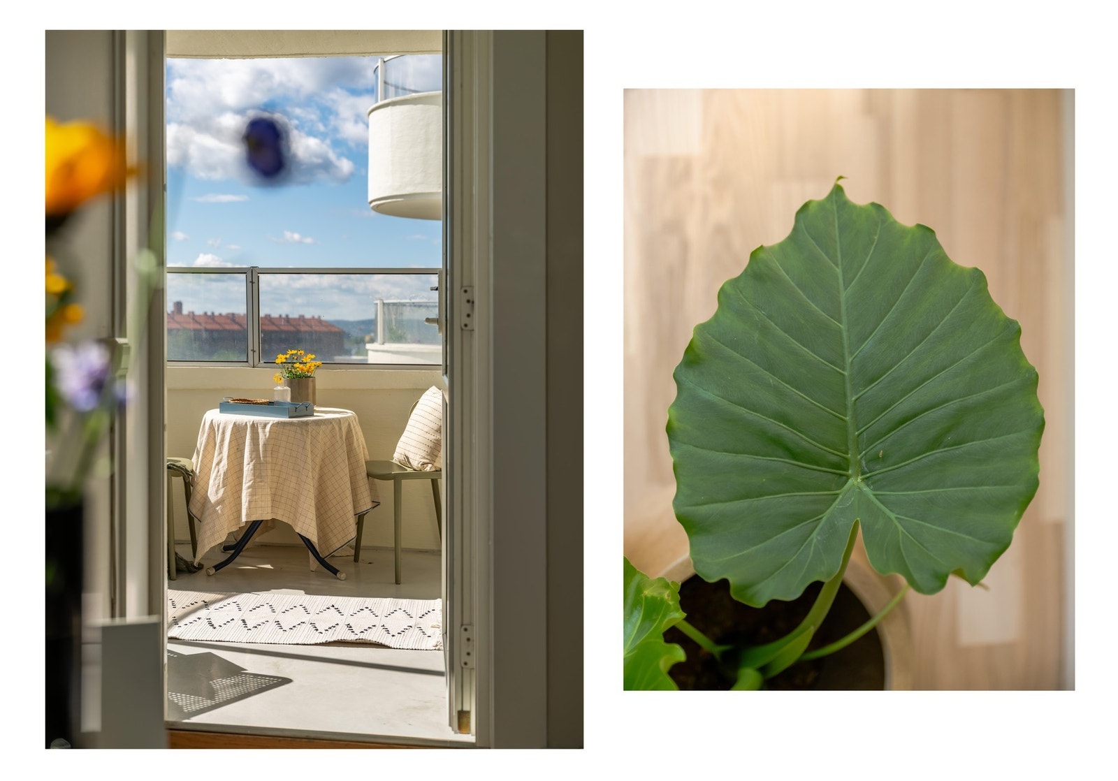 Sees vi? Galleribilde