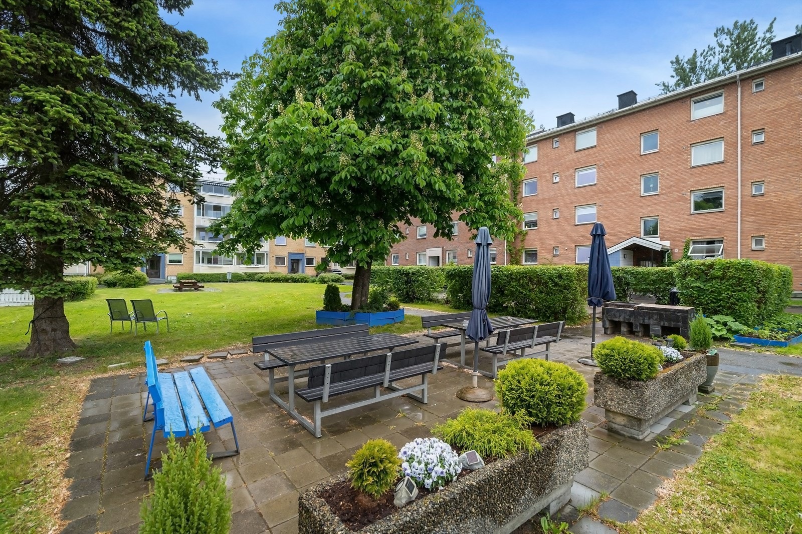 Borettslaget har store grønne fellesarealer Galleribilde