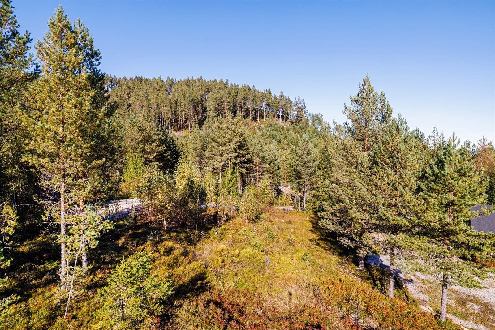 Hyggelig naturtomt Galleribilde