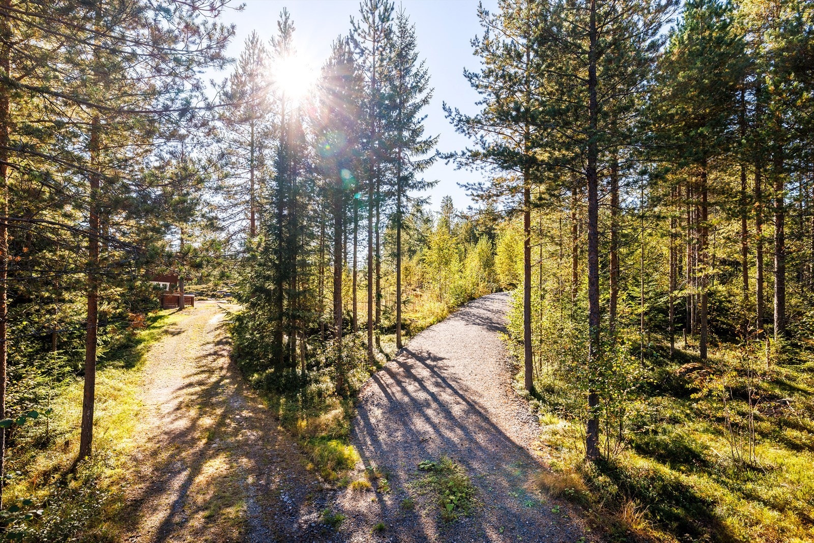 Veien opp til høyre fører opp til hytten. Galleribilde
