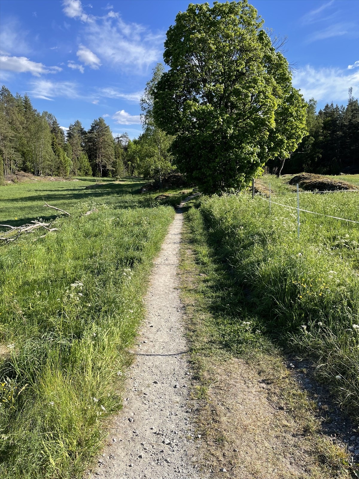 Nærområdet (privat foto). Galleribilde