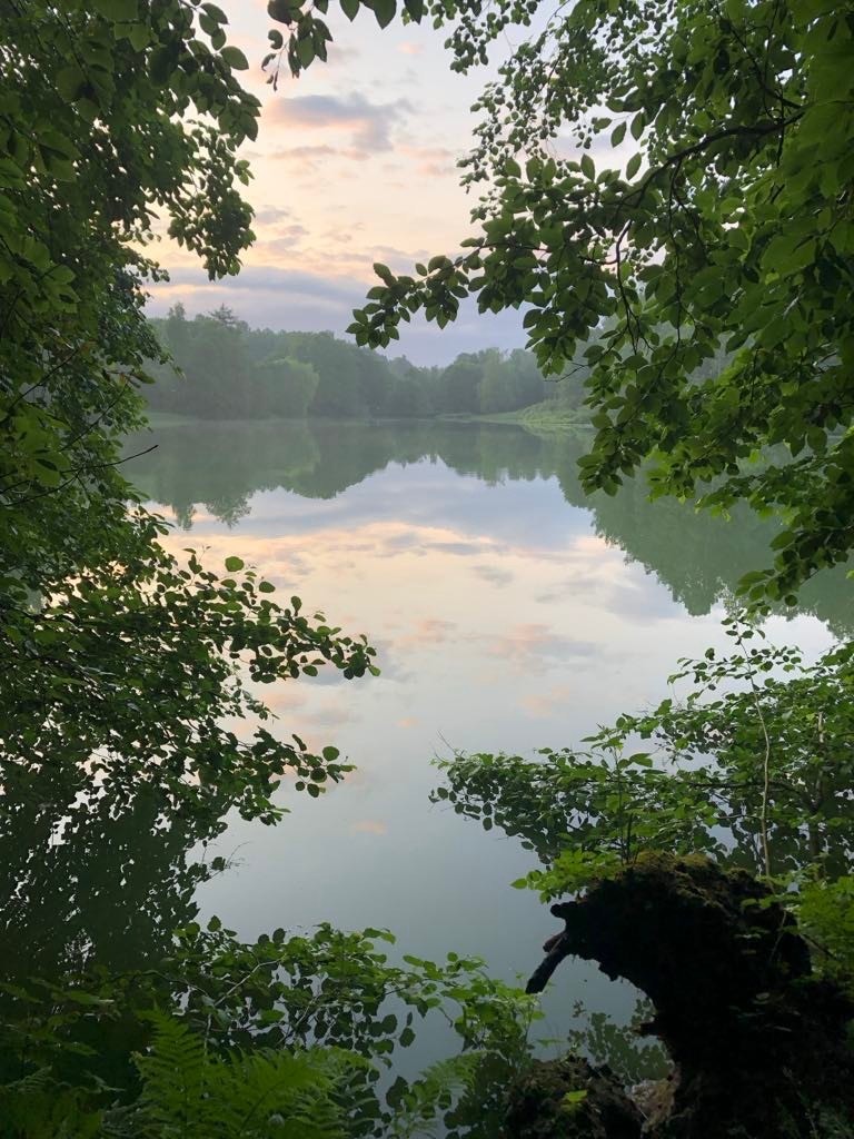 Blylagsdammen (privat foto). Galleribilde