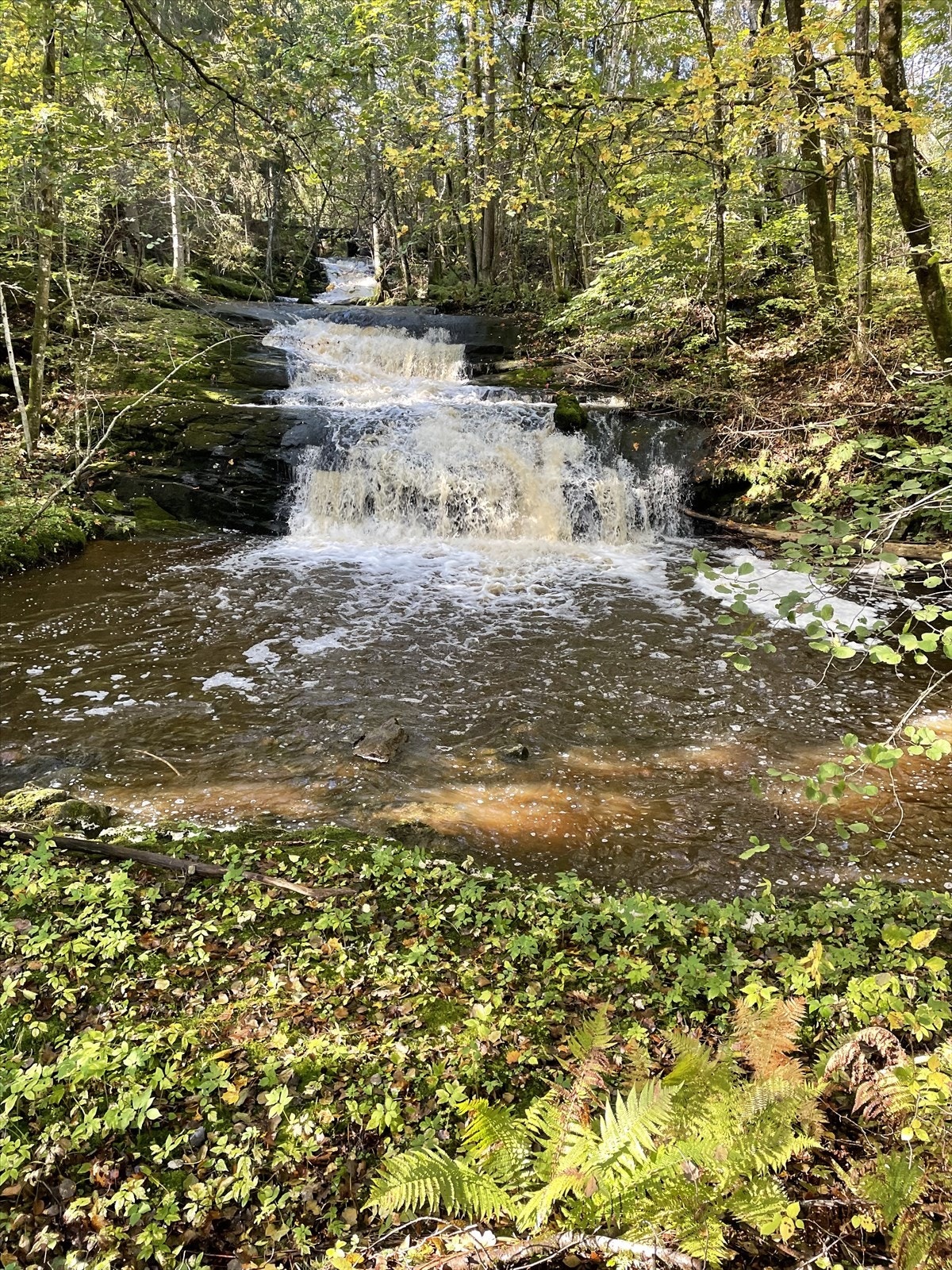 Nærområdet (privat foto). Galleribilde